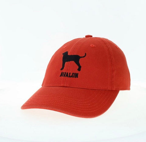 Kids Orange Dog Avalon Hat
