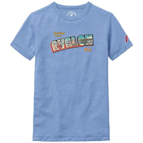 Kids Avalon Postcard Victory Falls Tee - Heather Power Blue