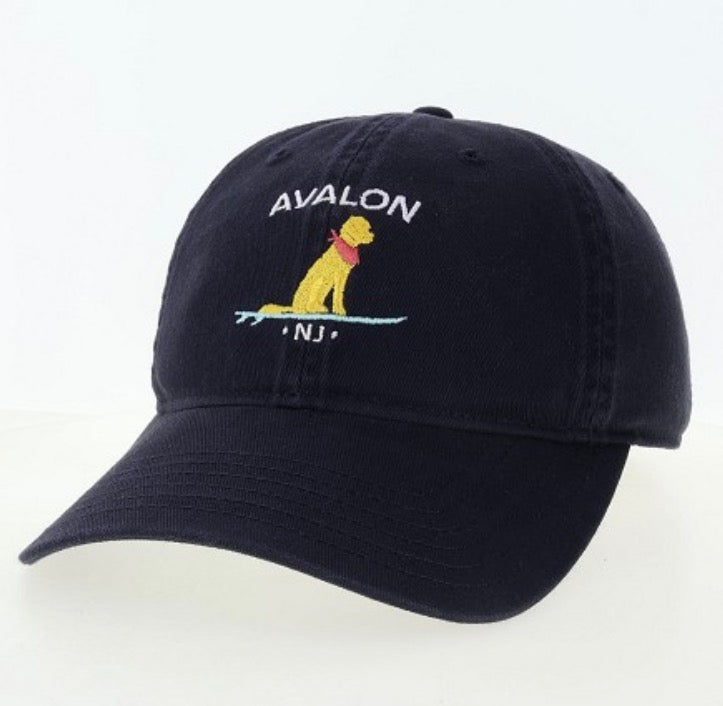 Avalon EZA Yellow Dog Navy Hat