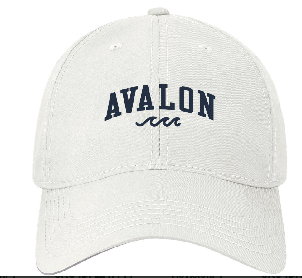 Avalon “Small” Cool Fit Wave Hat White w/navy