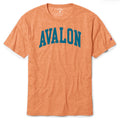 Mens Avalon Reclaim Tee - Sunset