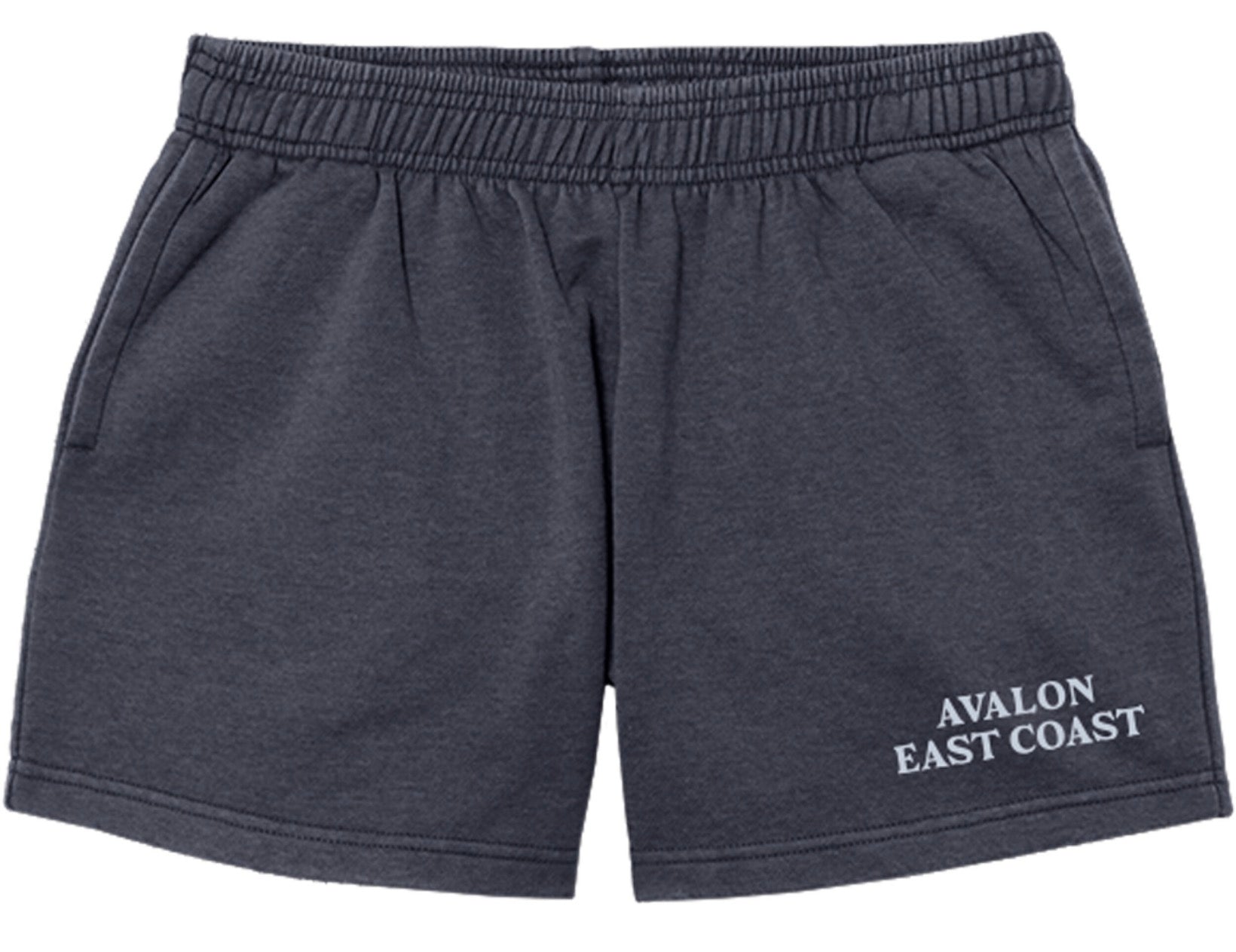 Womens Avalon East Coast Shorts - Heather Navy