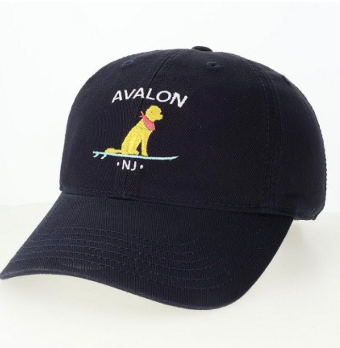Kids Avalon EZY Yellow Dog Navy Hat