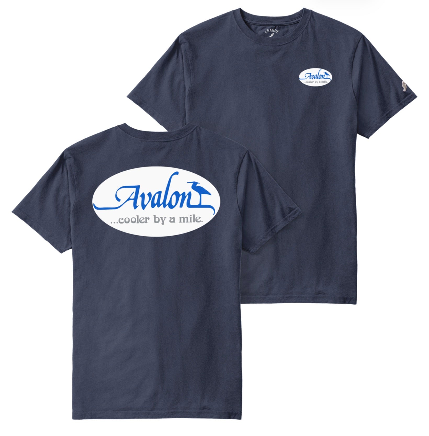 Mens Avalon Vintage Sign Tee - Spring Navy