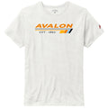 Unisex Avalon Stripes Triblend Victory Falls Tee - Heather Canvas