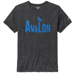 Men's AV Retro Bird Victory Falls Tee - Varsity Slate