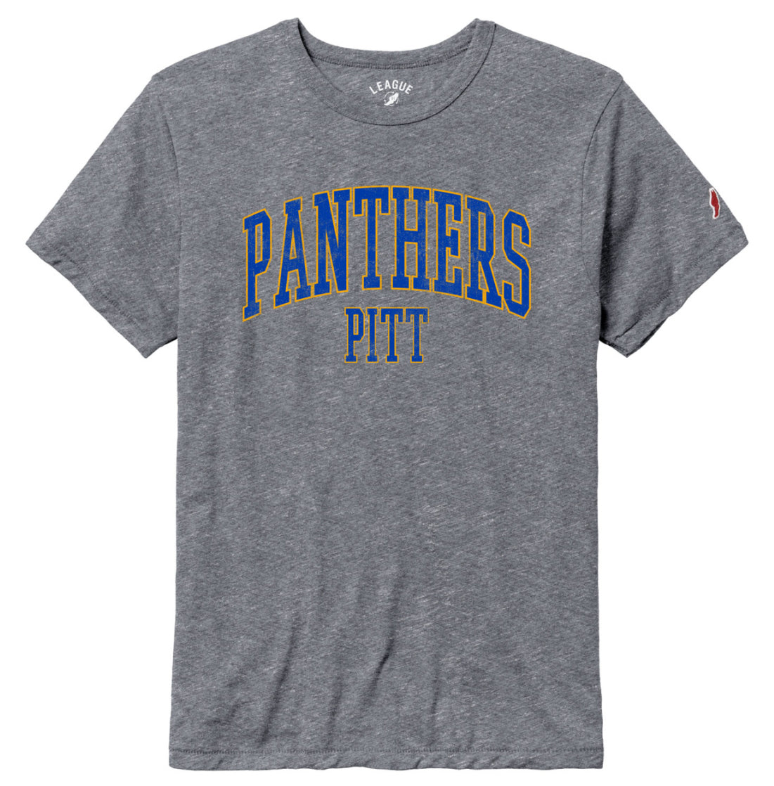 Men's Panthers Pitt Tee - Fall Heather