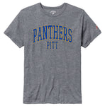 Men's Panthers Pitt Tee - Fall Heather